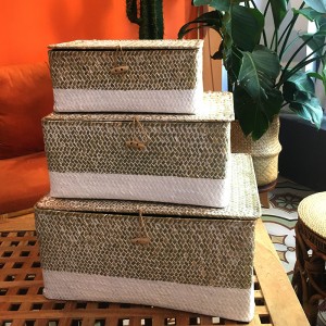 กล่องทอสาหร่ายที่มีที่เก็บข้อมูลครอบคลุม